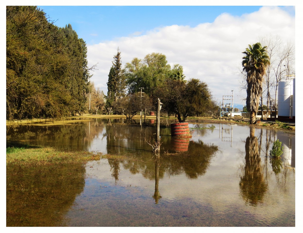 "`Reflejos en la Finca`" de Iris Elizabeth Scotto