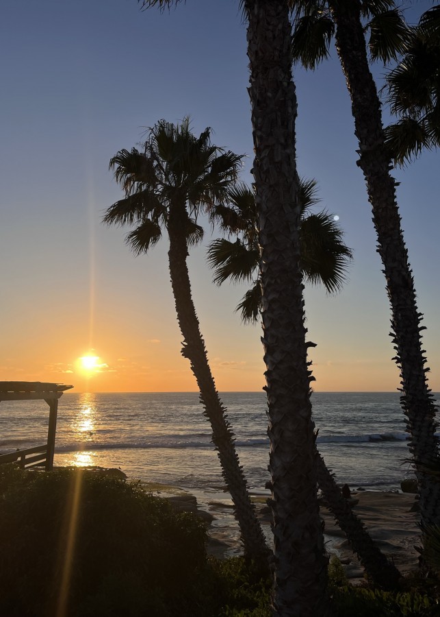 "La Jolla (San Diego)" de Mario R. Belmonte