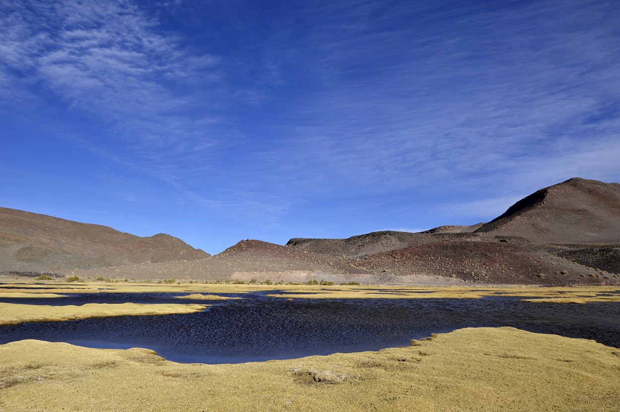 "agua en la vega" de Marcos Pedro Escudero