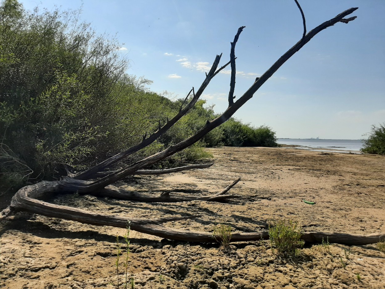 "Rio Parana" de Flavia Mauron