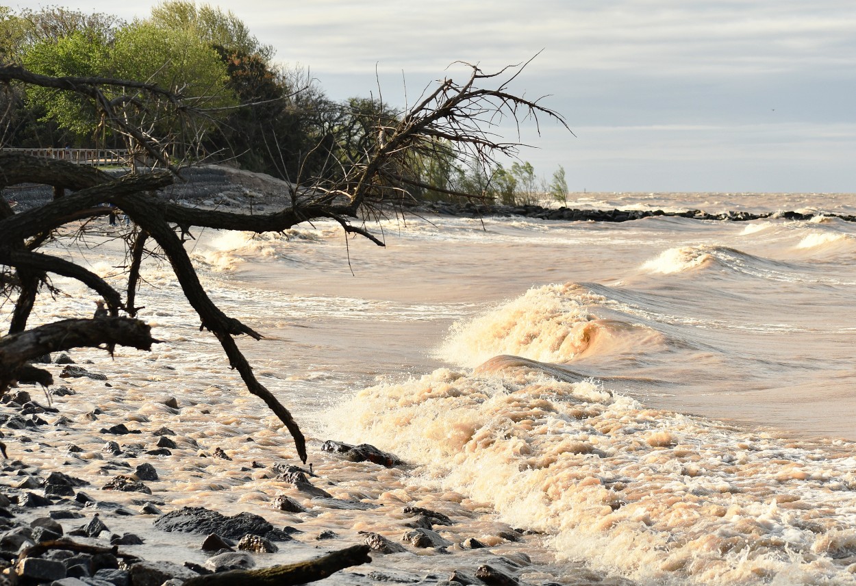 "Rio embravecido" de Jose Charles Mengeon