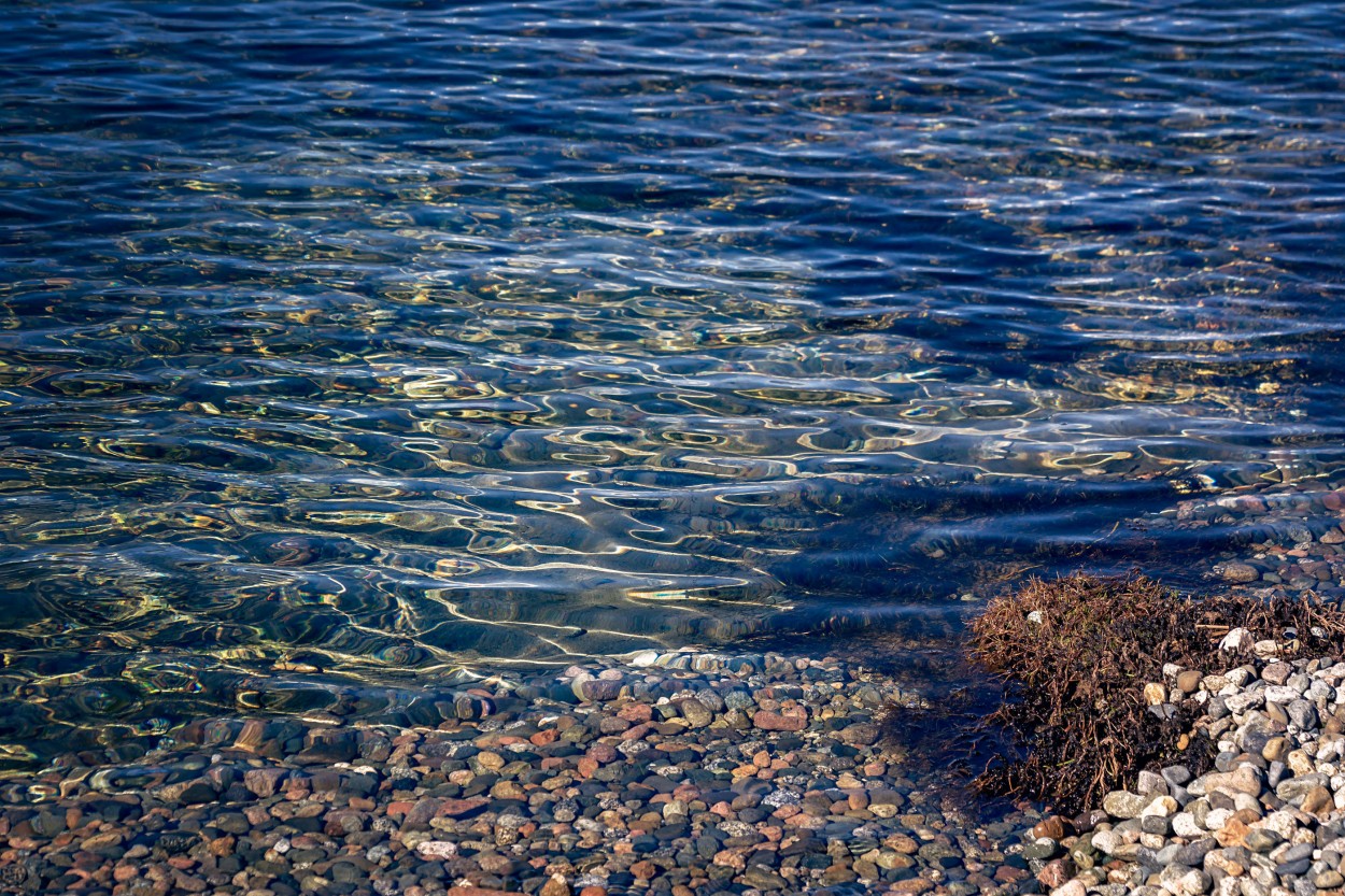 FotoRevista / Carlos Francisco Montalbetti / Bajo agua