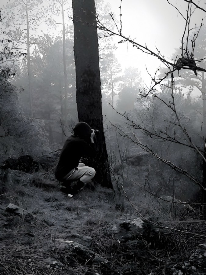 "Bosque encantado" de Alejandro Salomn Capoya