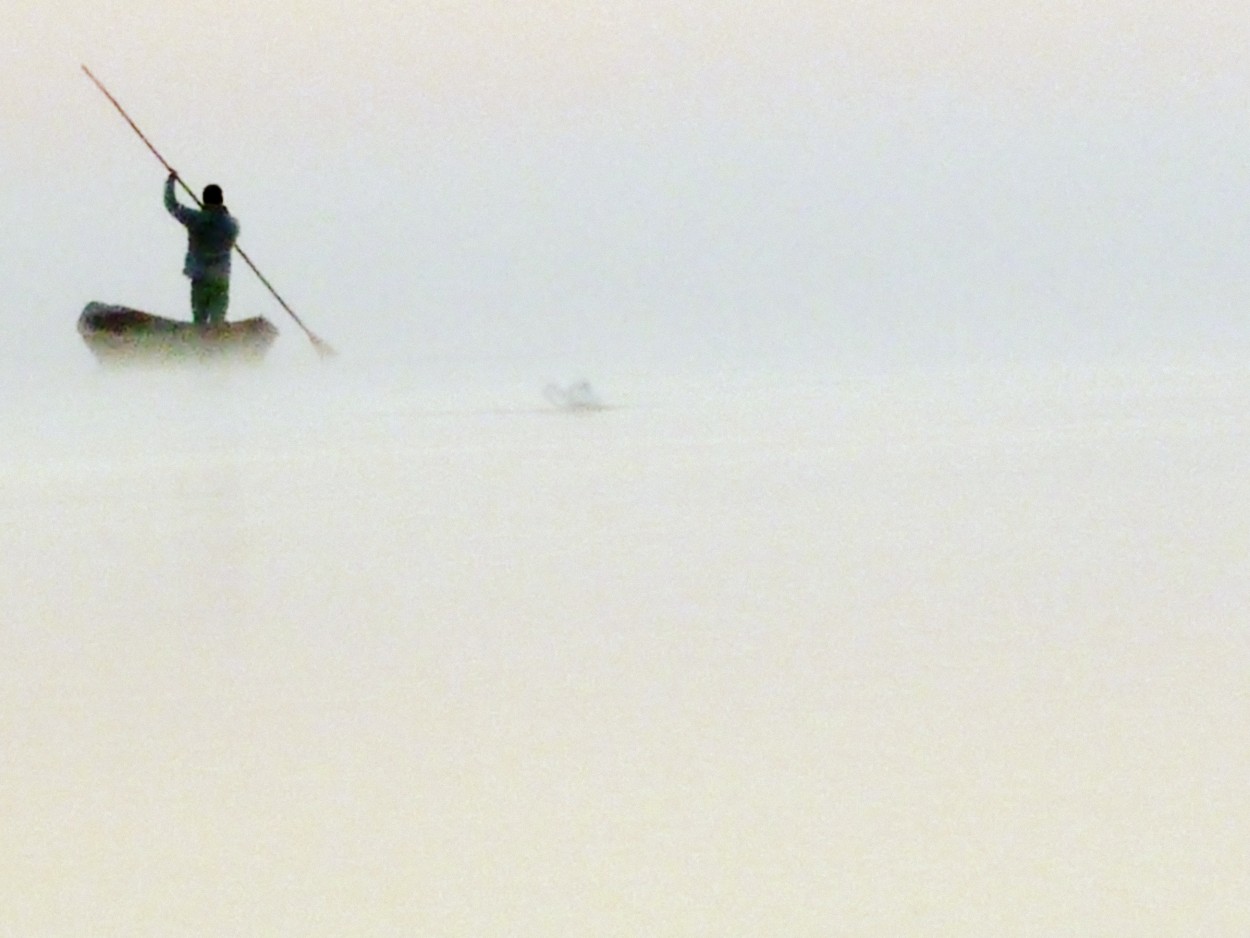 "Niebla y panes" de Flavia Mauron