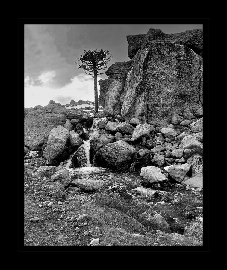 "Pehun del Rahue" de Alejandro del Valle