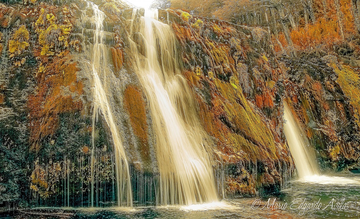 "CASCADA DE NIVINCO - NEUQUEN" de Mario Edgardo Avila