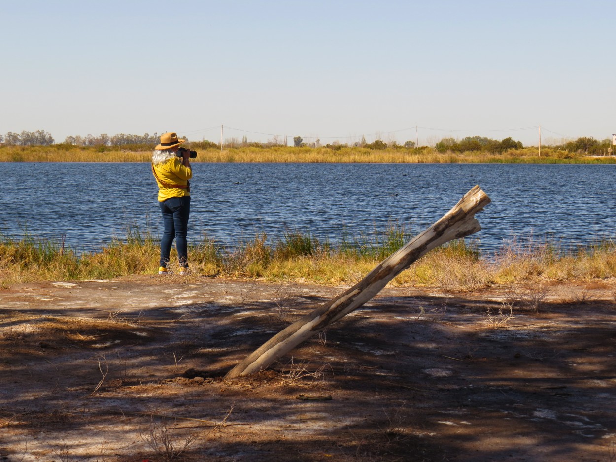 "`Capturando patos`" de Iris Elizabeth Scotto