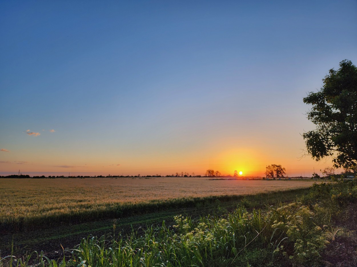 "Atardecer en el campo" de Marzioni Martn Luis