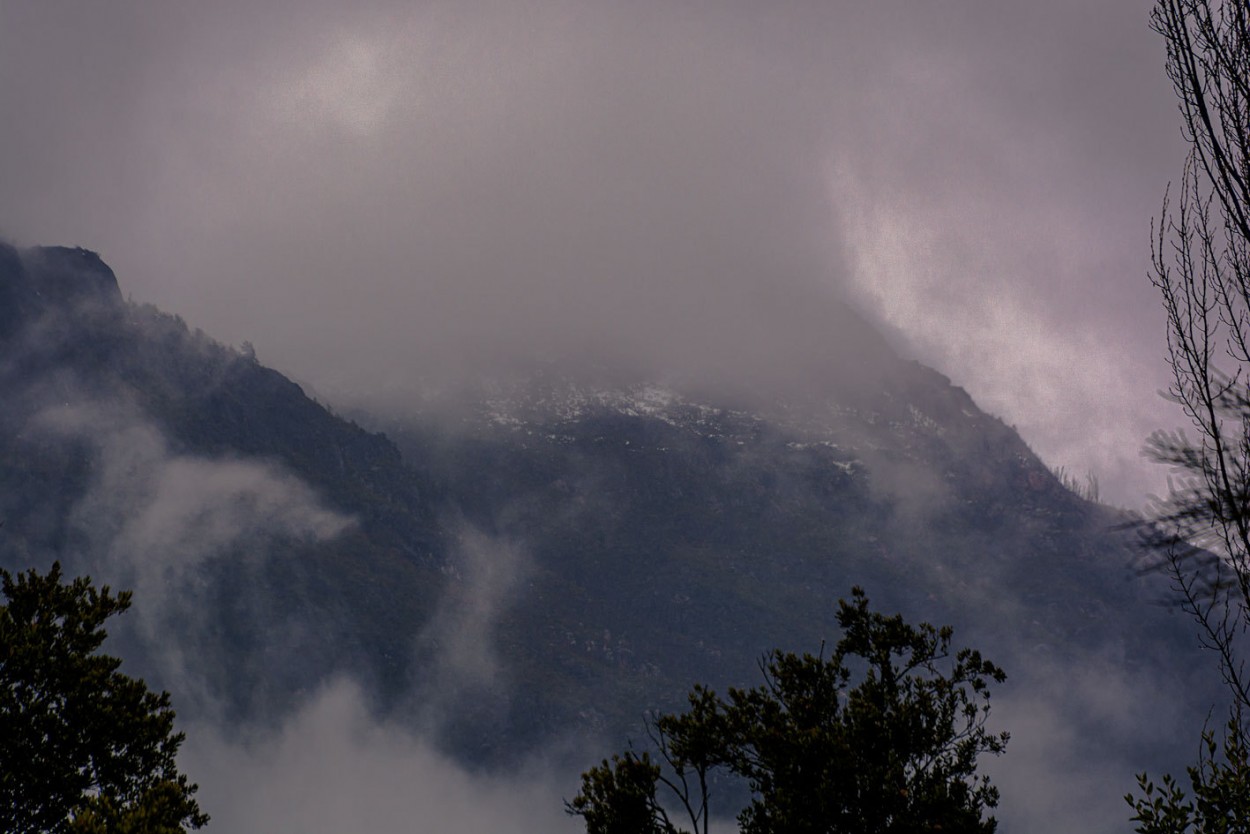 "Niebla" de Carlos Francisco Montalbetti