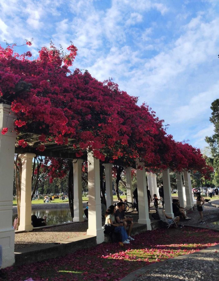 "Primavera en el parque" de Maria Del Carmen Capacio