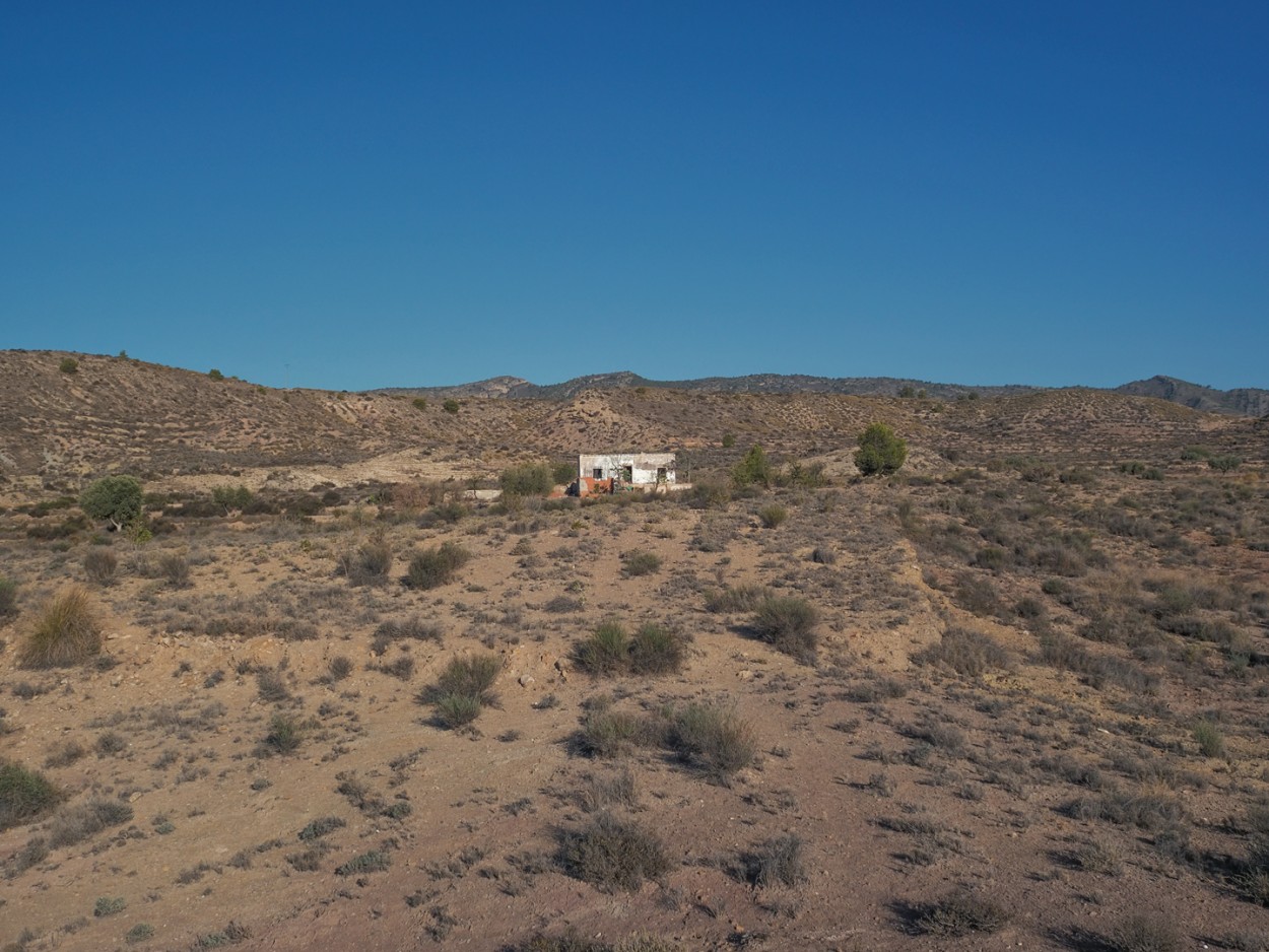 "Casita soleada" de Francisco Jos Cerd Ortiz