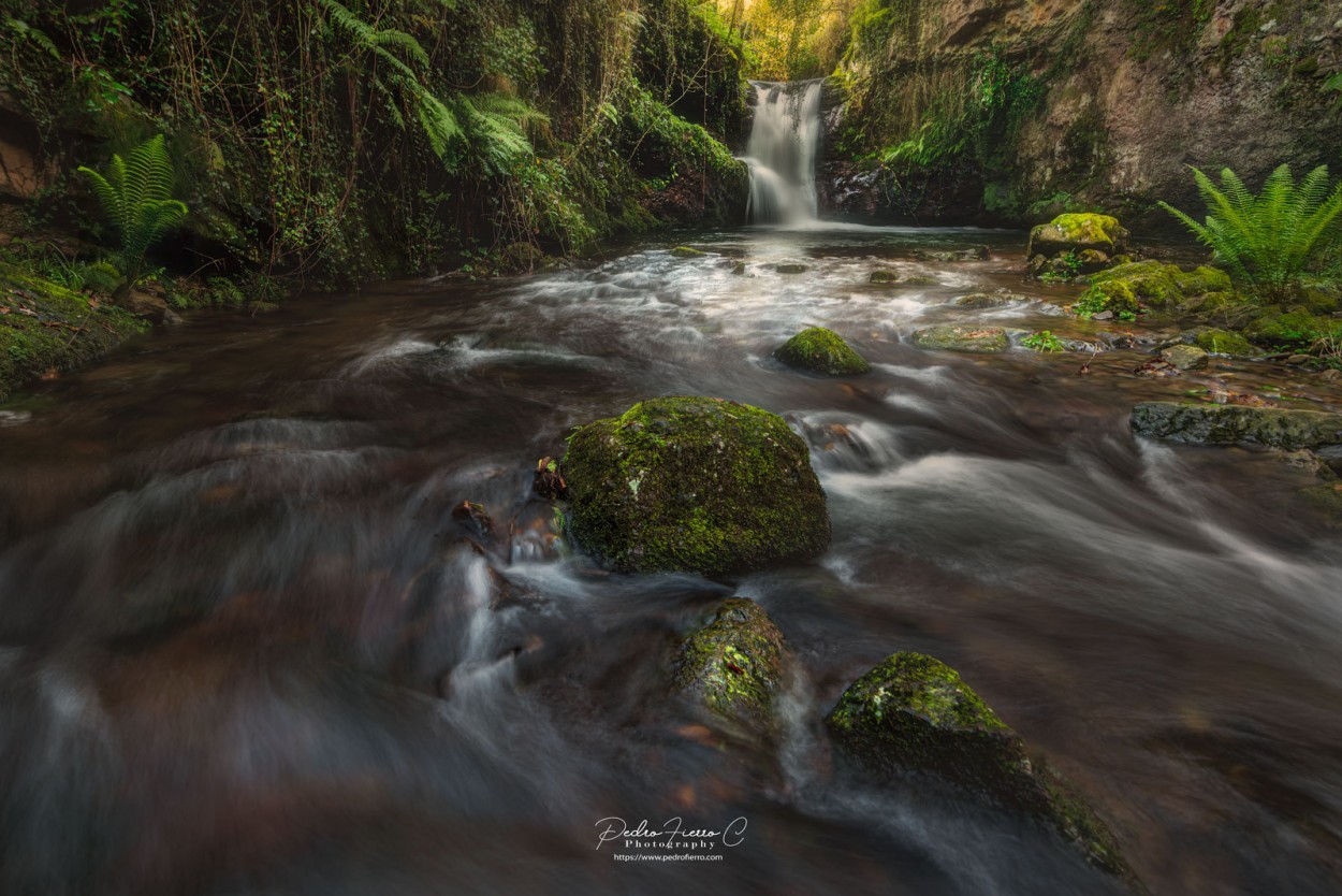 "Recorriendo.." de Pedro Fierro C Photography