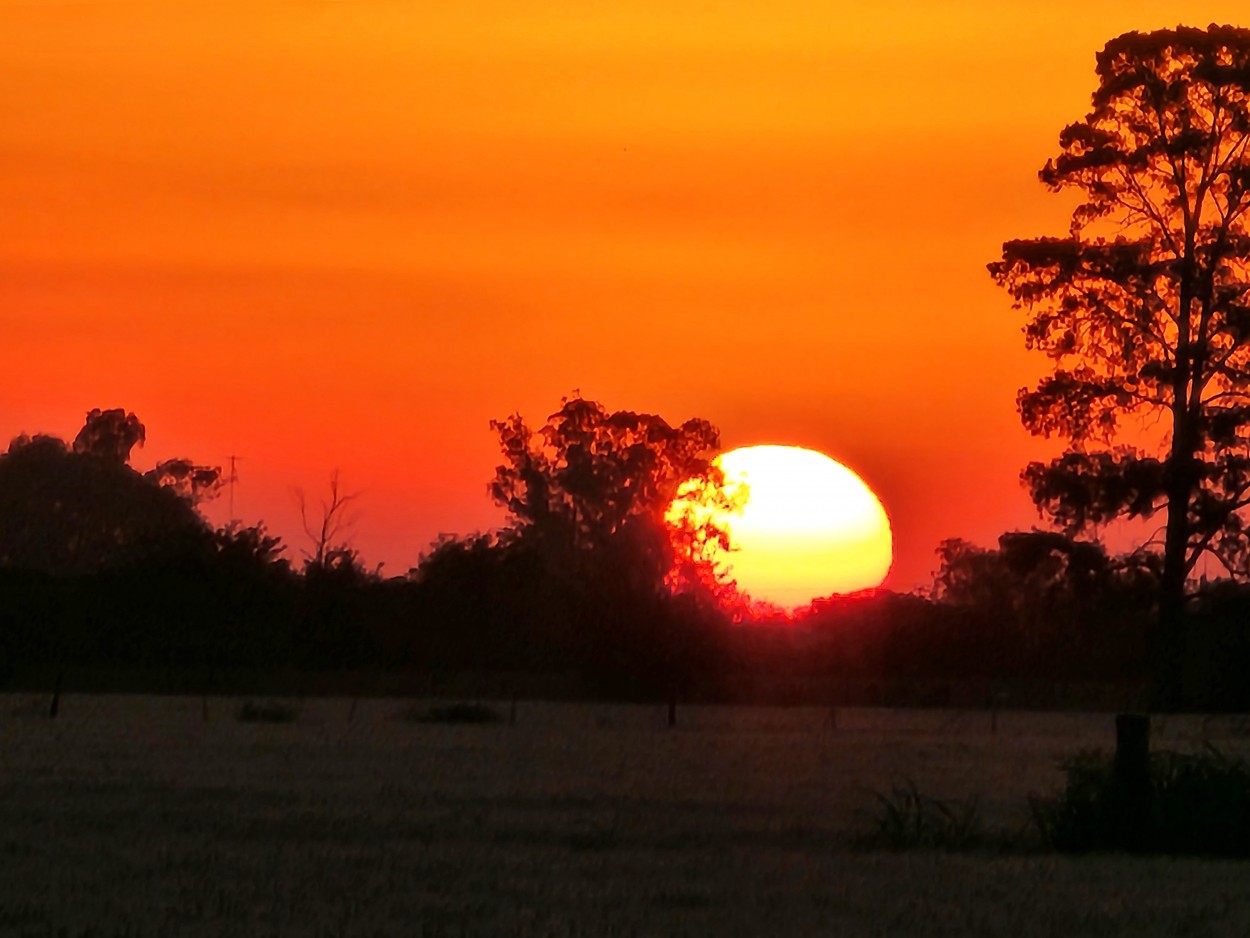 "Ocaso de primavera" de Marzioni Martn Luis