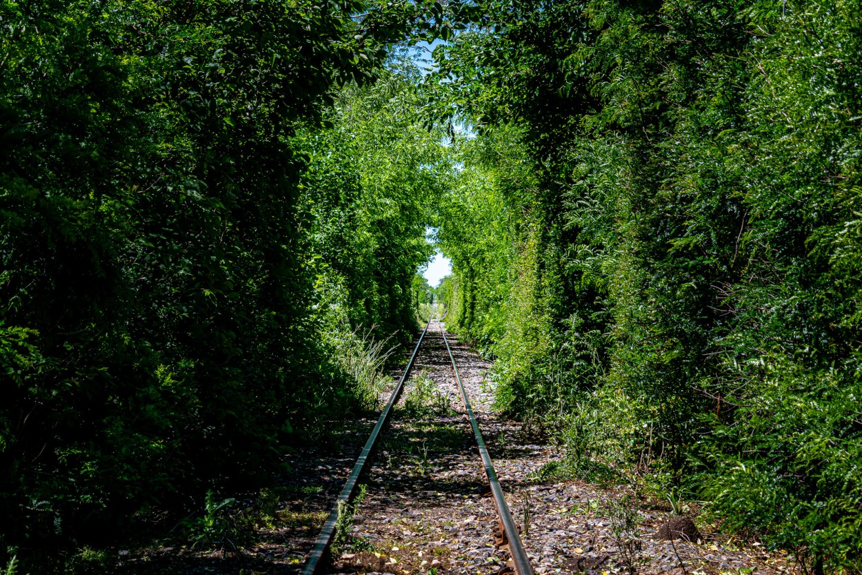 "Tnel Verde Ferroviario" de Natalia Sanchez Abatte