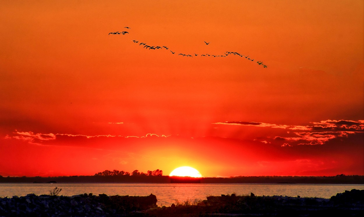 "Ultimo sol en la laguna..." de Juan Carlos Barilari