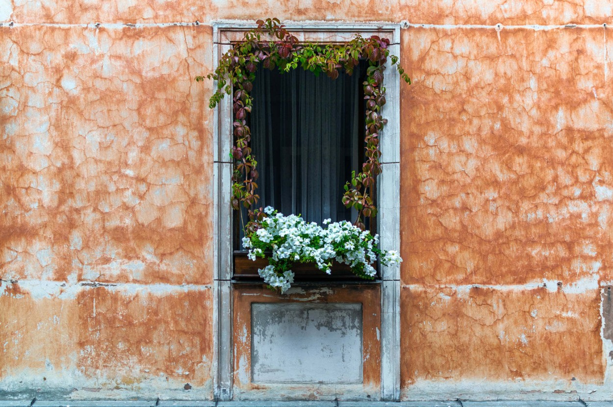 "Flores en la ventana llenas de pared" de Eduard Jurcak