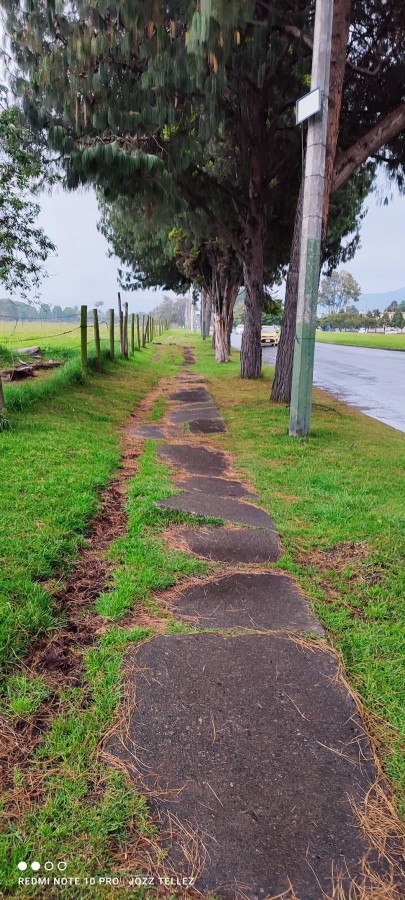 "Camino solitario" de Jose Luis Tellez Alarcon