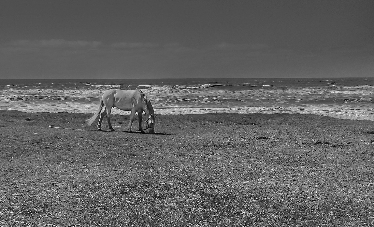 "Junt la mar" de Roberto Guillermo Hagemann