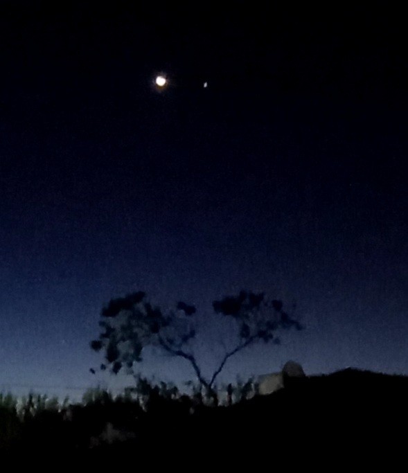 "Luna y Venus" de Patricia Sallete