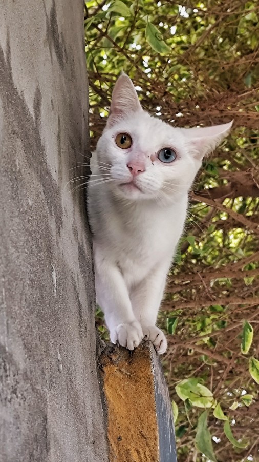 "Ojo con esa mirada..." de Marcelo Di Marco