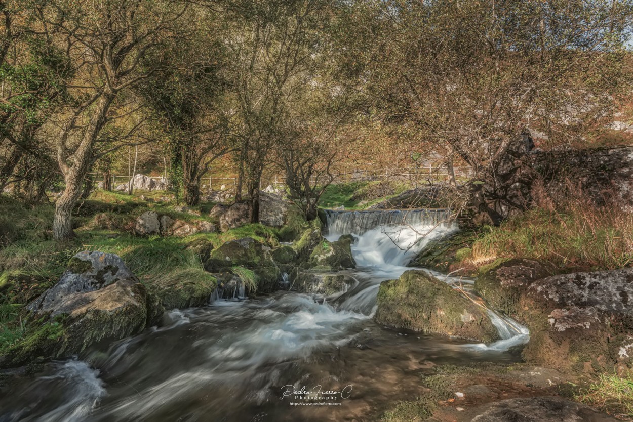 "Nacimiento." de Pedro Fierro C Photography