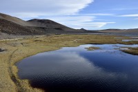 reflejos en el agua