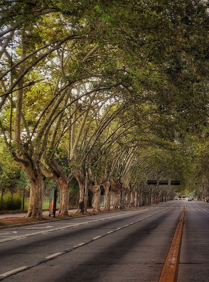 "Urbana" de Roberto Guillermo Hagemann