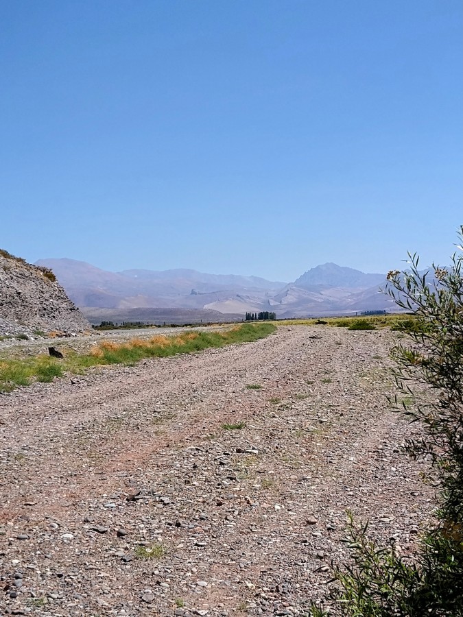 "Camino de piedra" de Daniela Palma