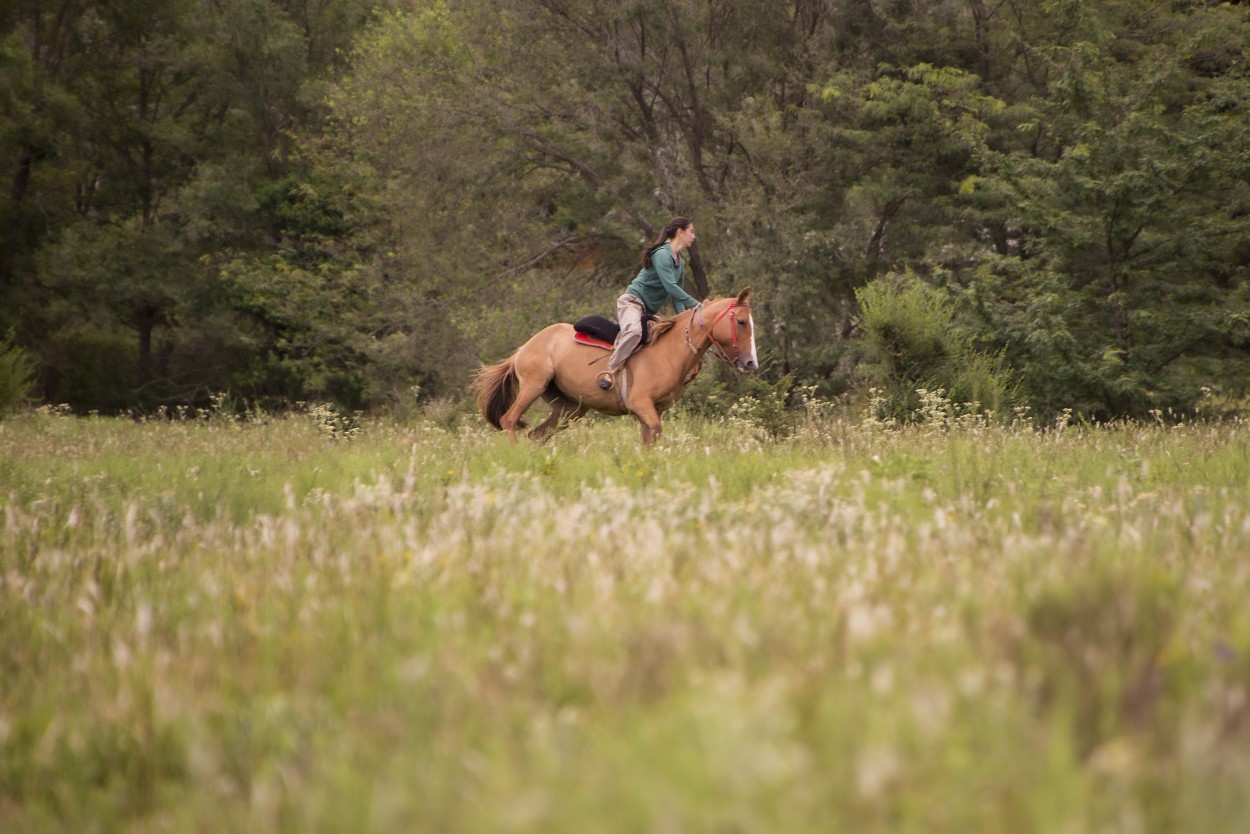 "Arre!" de Rafa Lanuza