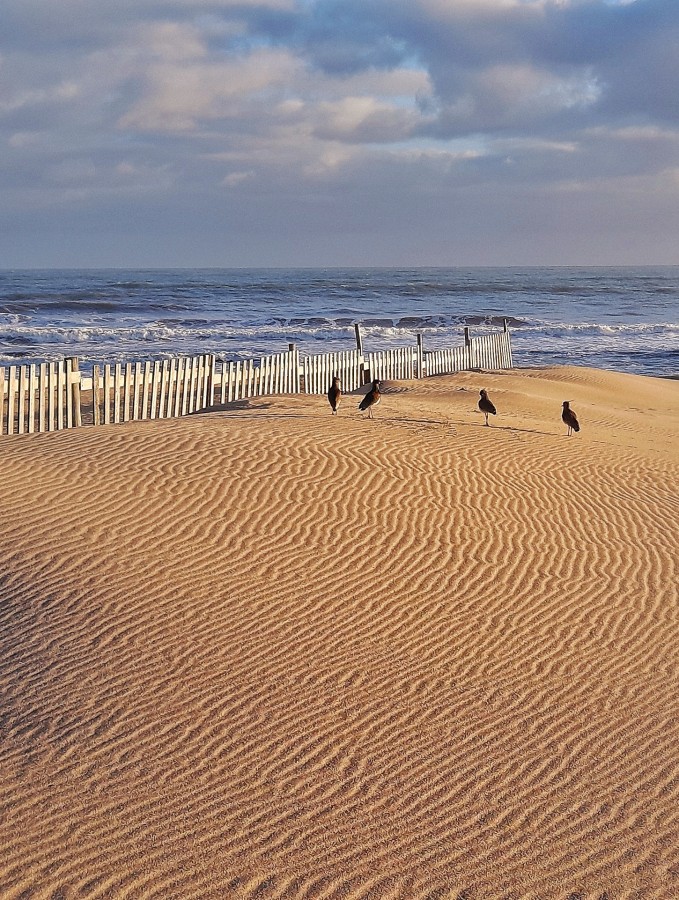 "Visitas en la playa" de Roberto Guillermo Hagemann