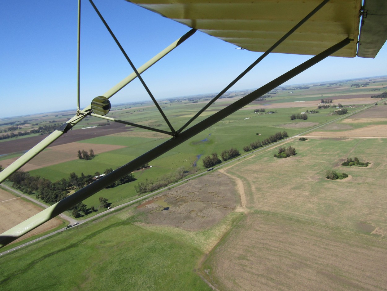 "A vuelo de pajaro " de Miguel Angel Palermo