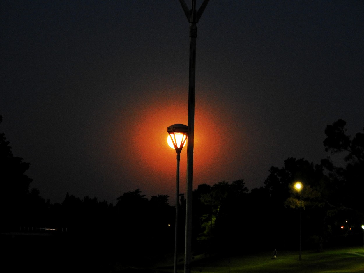 "La Luna en el farol" de Marcelo Di Marco