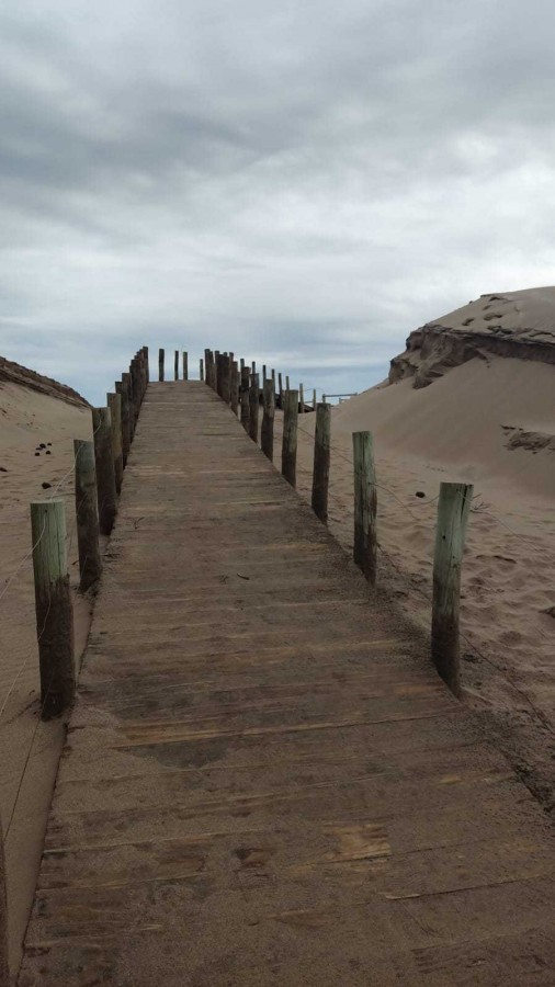 "Camino al mar" de Mariel Scheiman