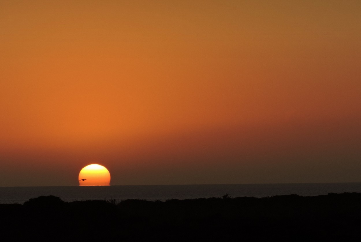 "Amanecer en el Rio de la Plata" de Silvia Olliari