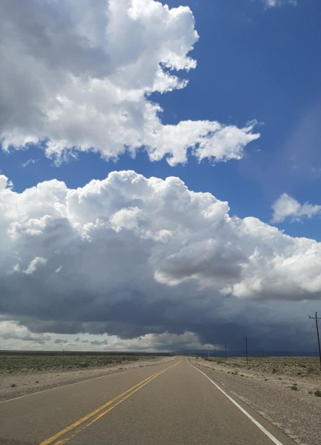 "Un camino a la tormenta" de Eduardo Jorge Pompei