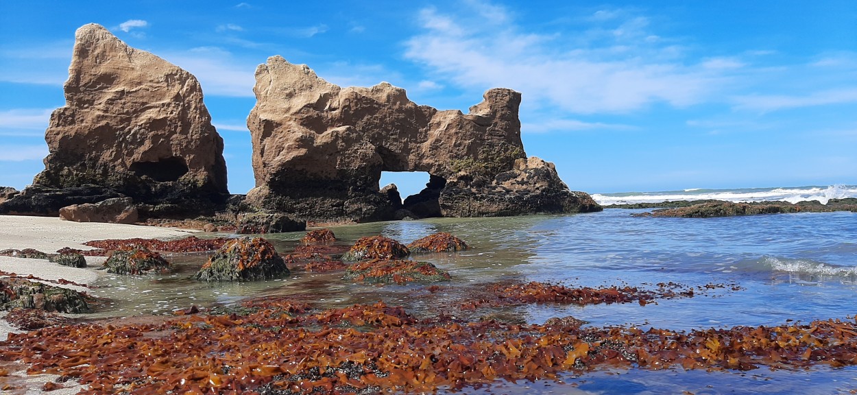 "Baja mar" de Juan Carlos Viegas