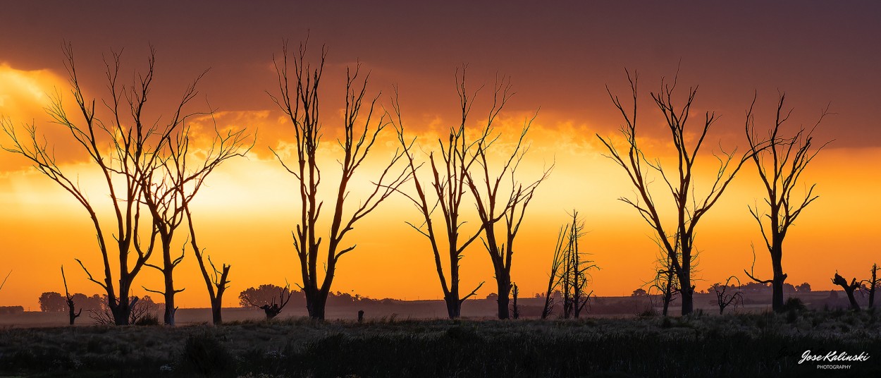 "Atardecer en Epecunj X" de Jose Carlos Kalinski