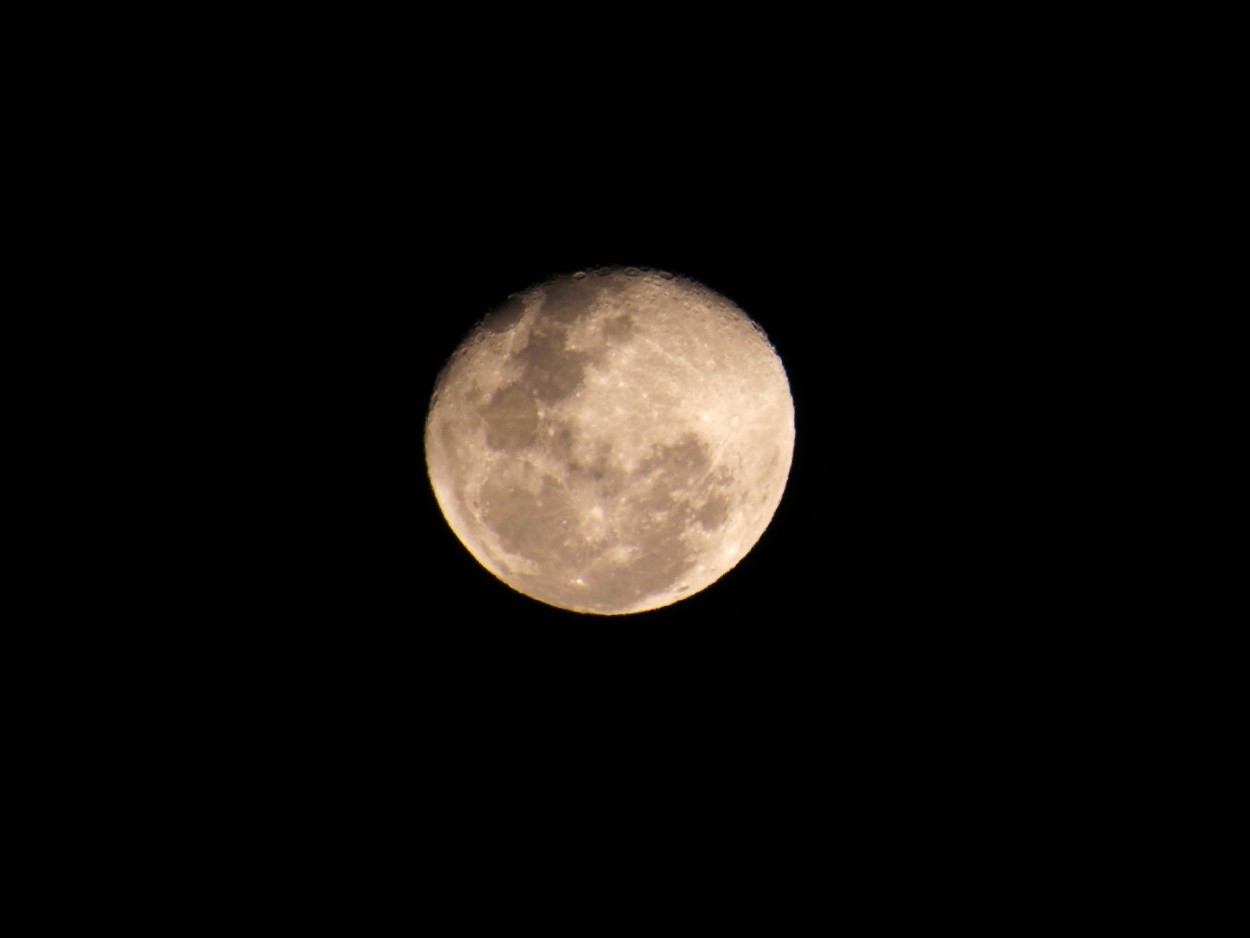 "`La luna de octubre I`" de Iris Elizabeth Scotto