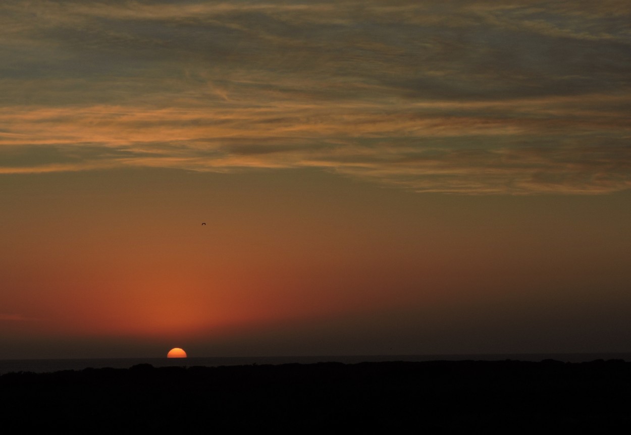 "Bello amanecer" de Silvia Olliari