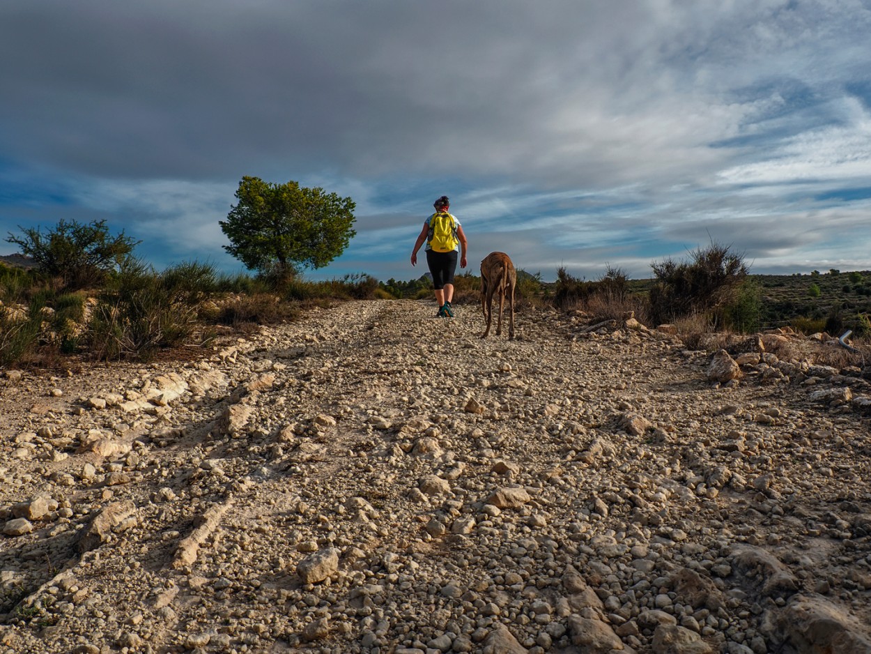 "Caminando" de Francisco Jos Cerd Ortiz