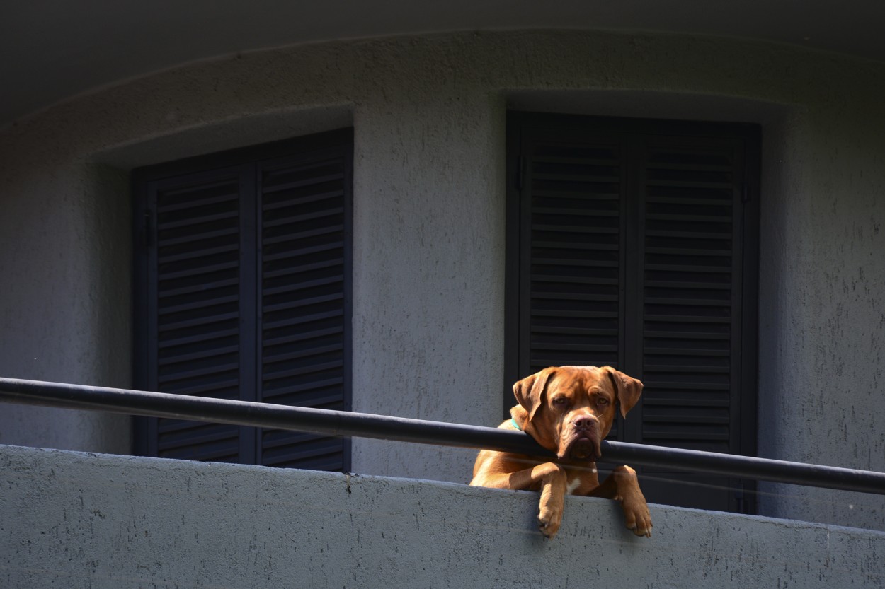 "Al sol" de Osvaldo Sergio Gagliardi