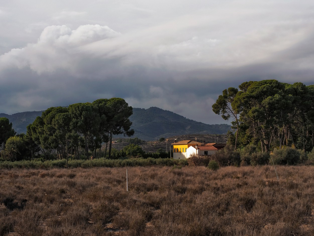 "Casa entre pinos" de Francisco Jos Cerd Ortiz