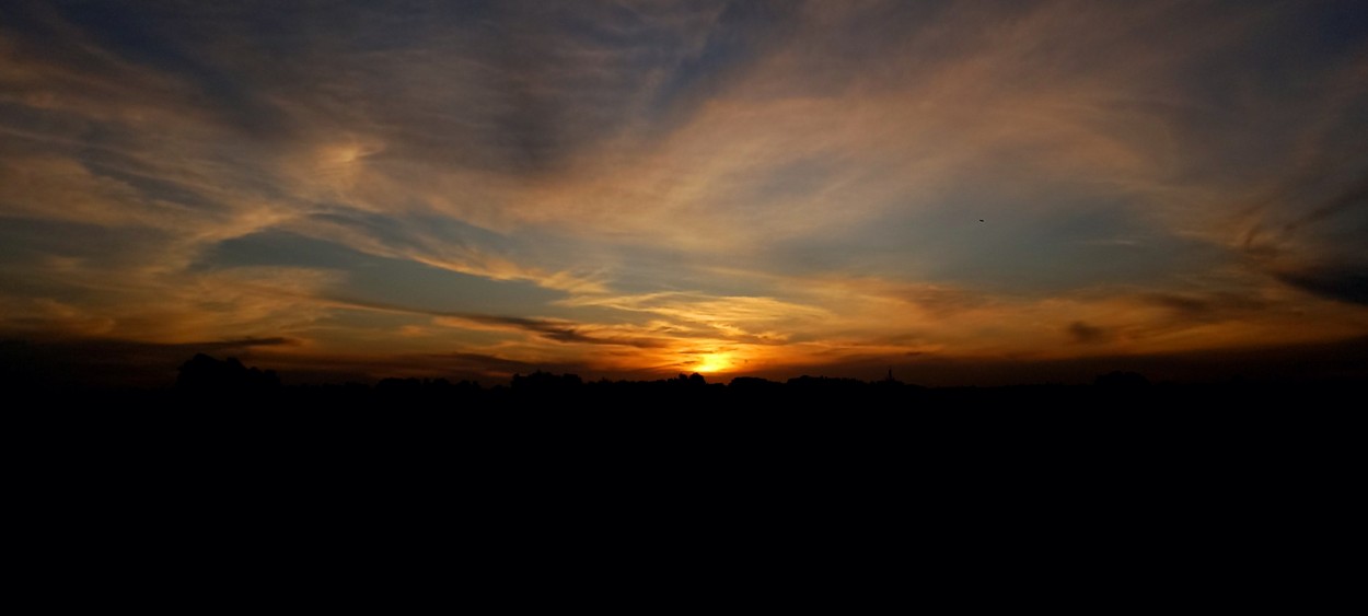 "La tarde fu" de Patricia Sallete