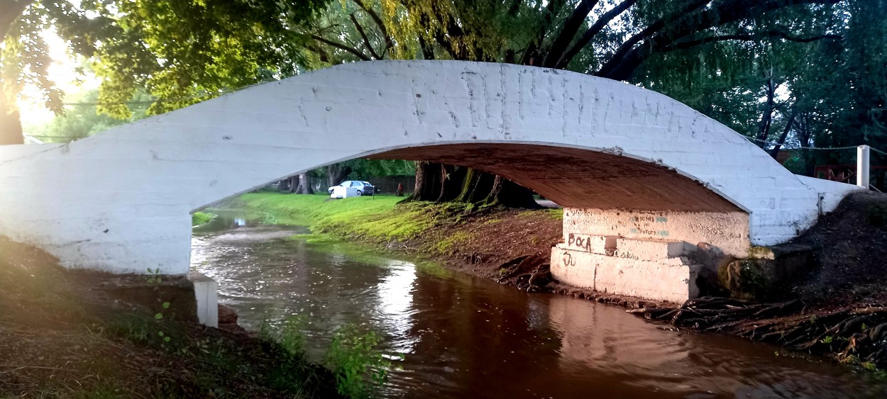 "Pasa bajo el puente" de Patricia Sallete