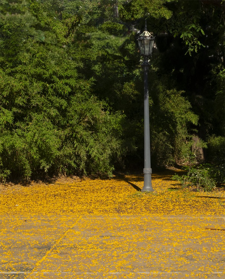 "Farol" de Marcelo Horacio Insaurralde