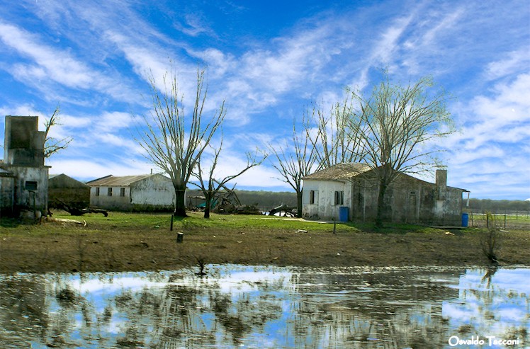 "Despues de la lluvia" de Osvaldo Eduardo Tacconi