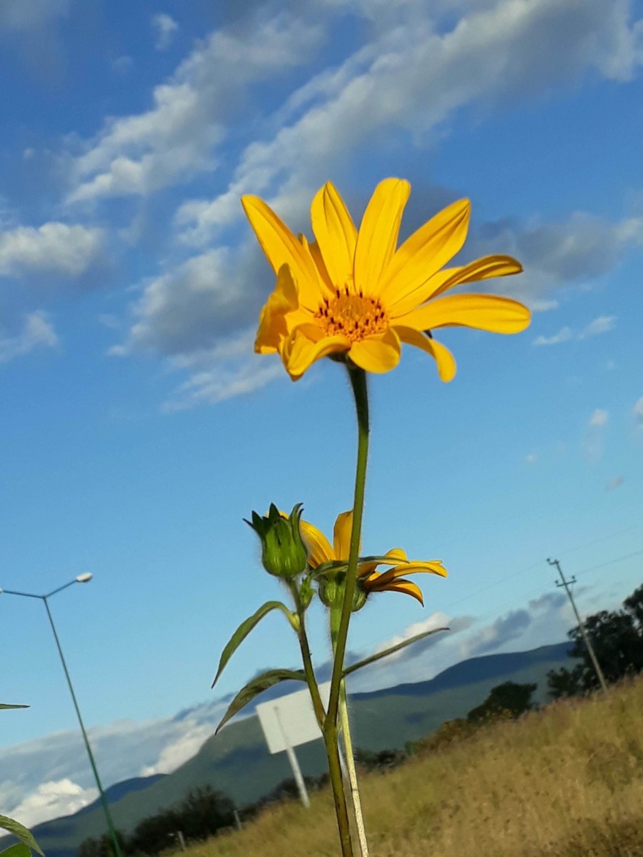 "Tomando Sol!!" de Marcela Fabiana Pereyra