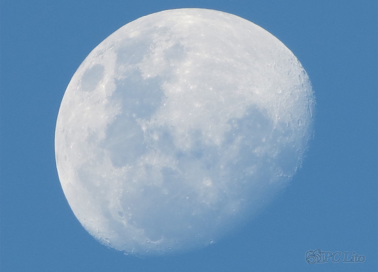 "Luna de da" de Pascual Cetrangolo Pclito