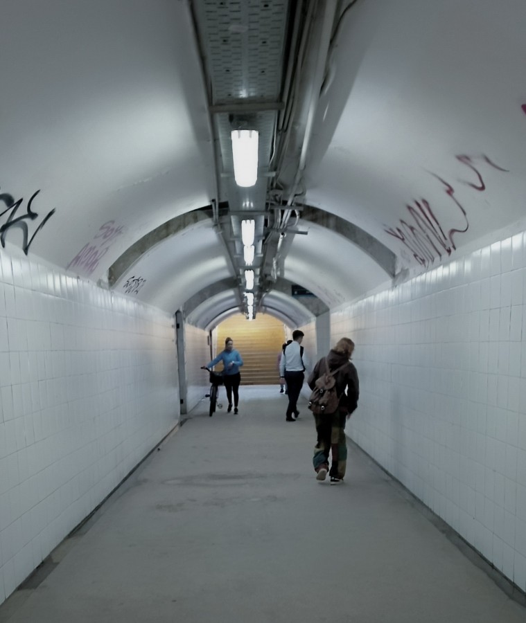 "El tunel" de Americo Rosa Pombinho