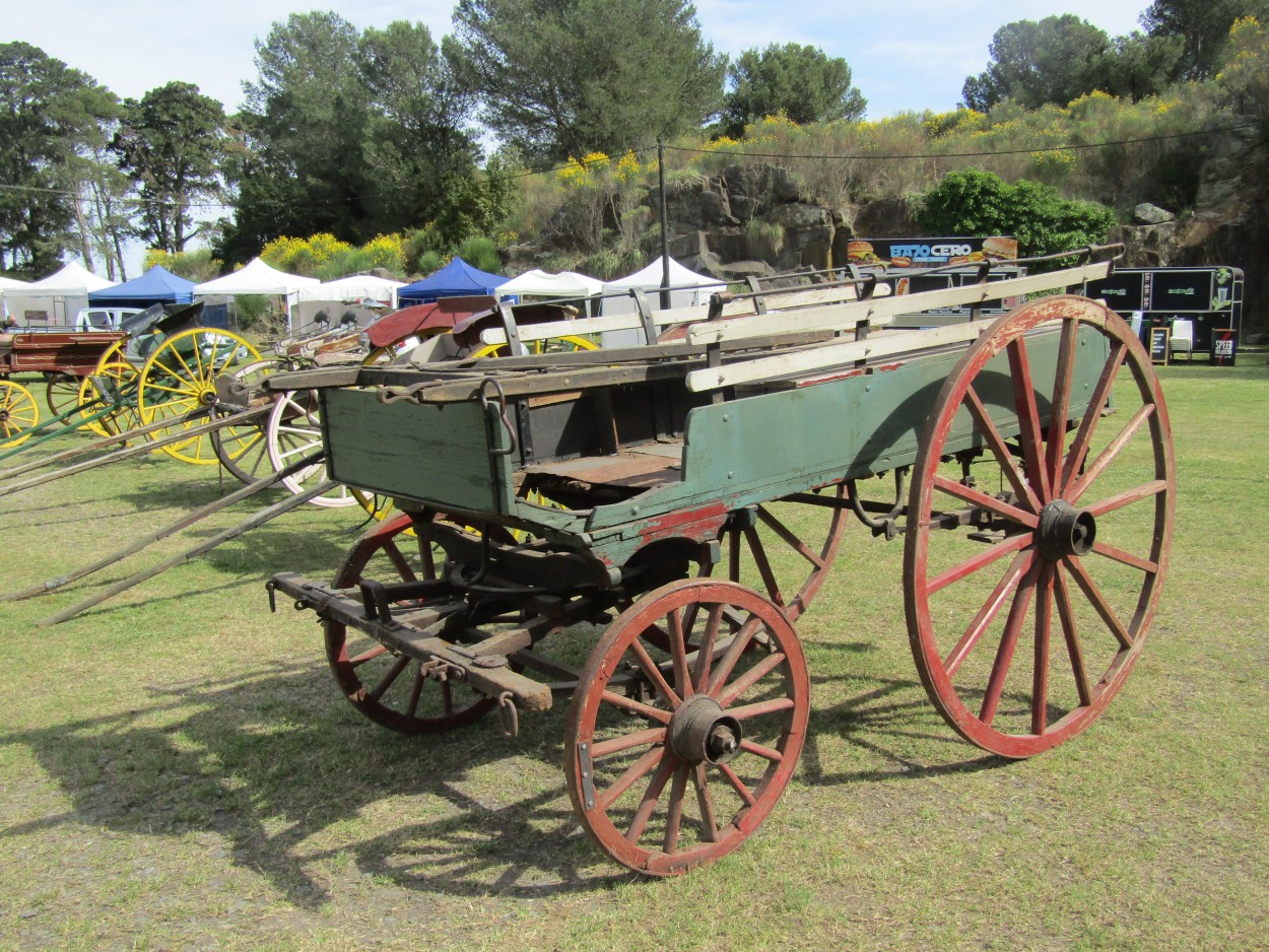 "Carro de cuatro ruedas" de Miguel Angel Palermo